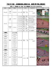 平成28年度IH大会結果