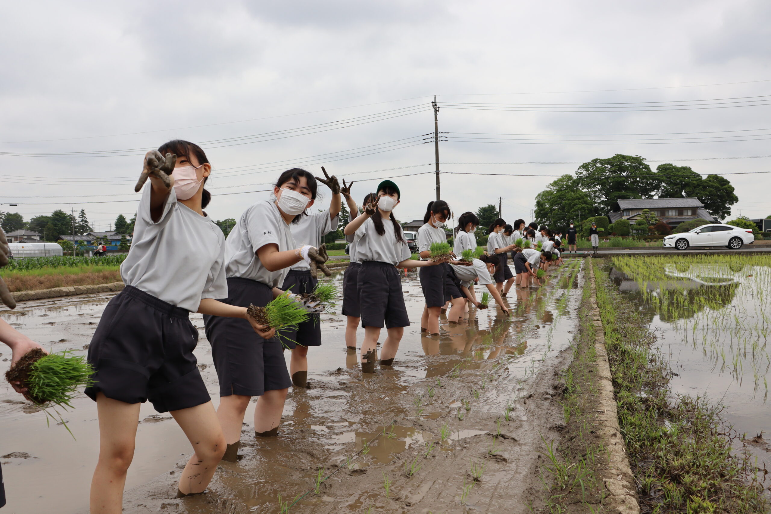 田植え体験中学生 中学2年技術「田植え」を体験しました。 | 昌平中学校・高等学校