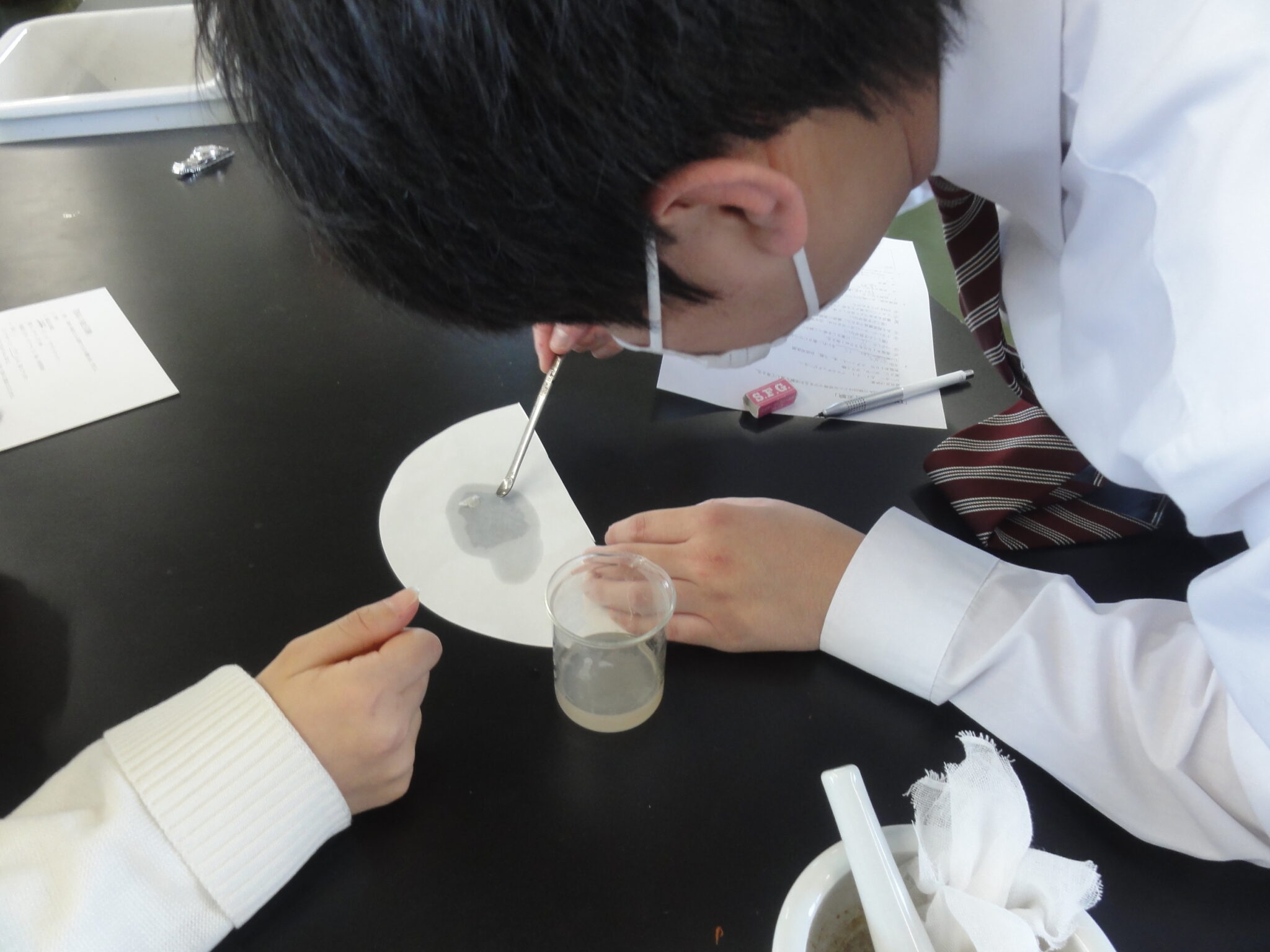 Dna抽出手順 – Dnaを取り出す実験 | 【高校講座 生物基礎】第12講「DNAの抽出実験」 – NXFJO