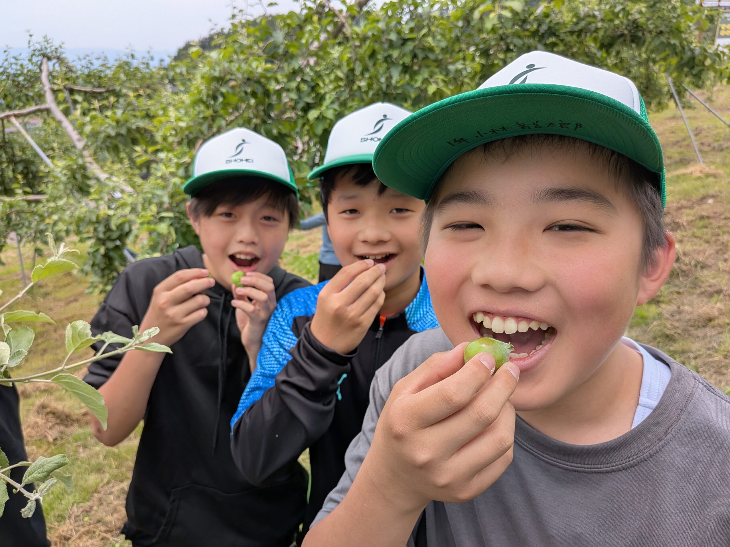 中学1年生林間学校初日 | 昌平中学校・高等学校