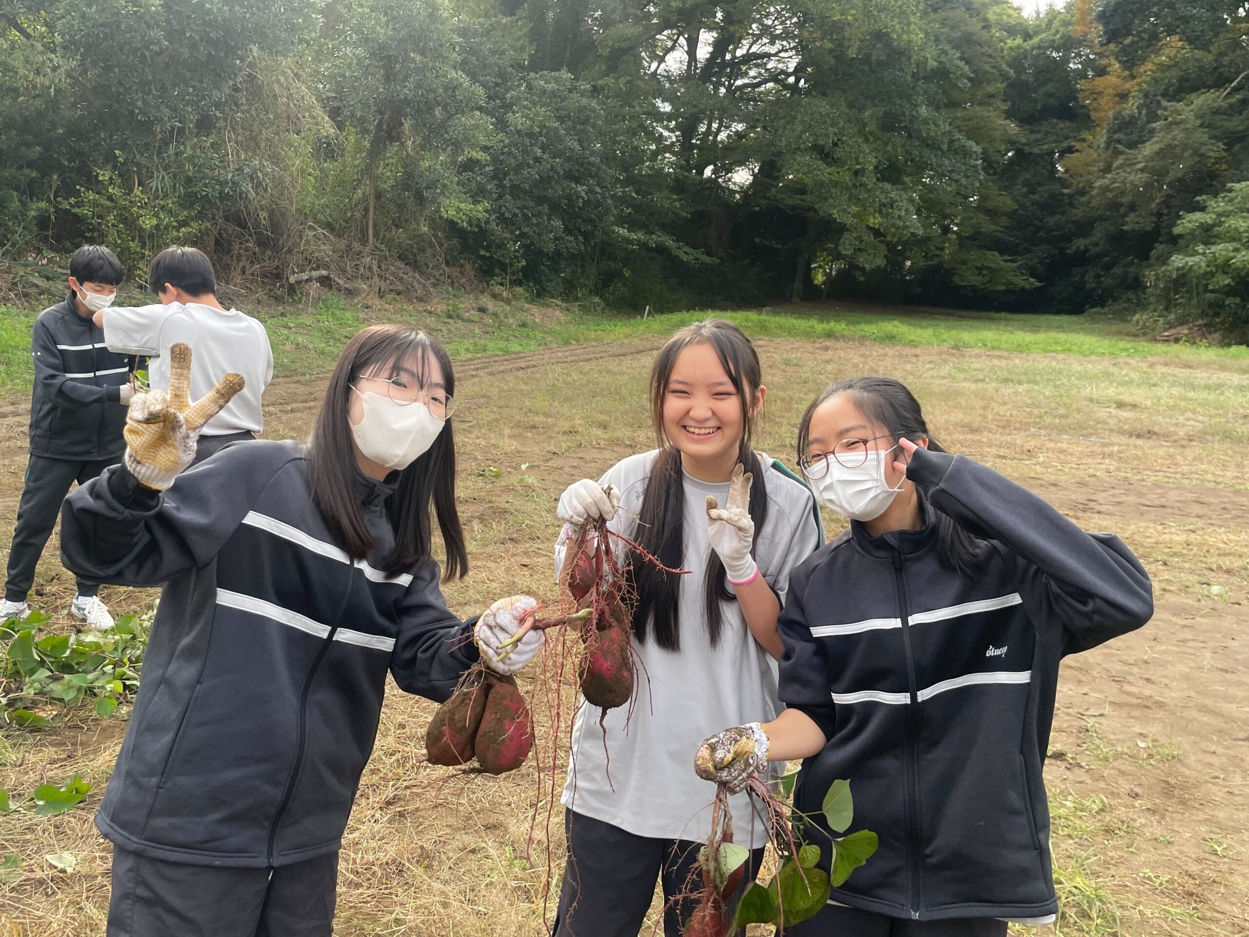 中学2年生 芋ほり | 昌平中学校・高等学校